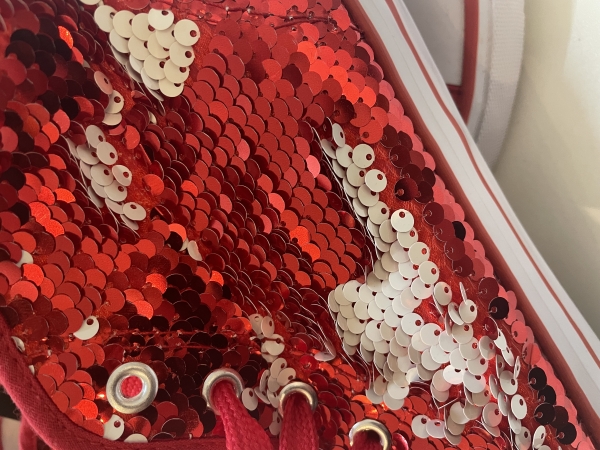 Karnevalsschuhe Schuhe Karneval Pailletten Damen Herren Fasching Karnevalskostüm Rot Wende
